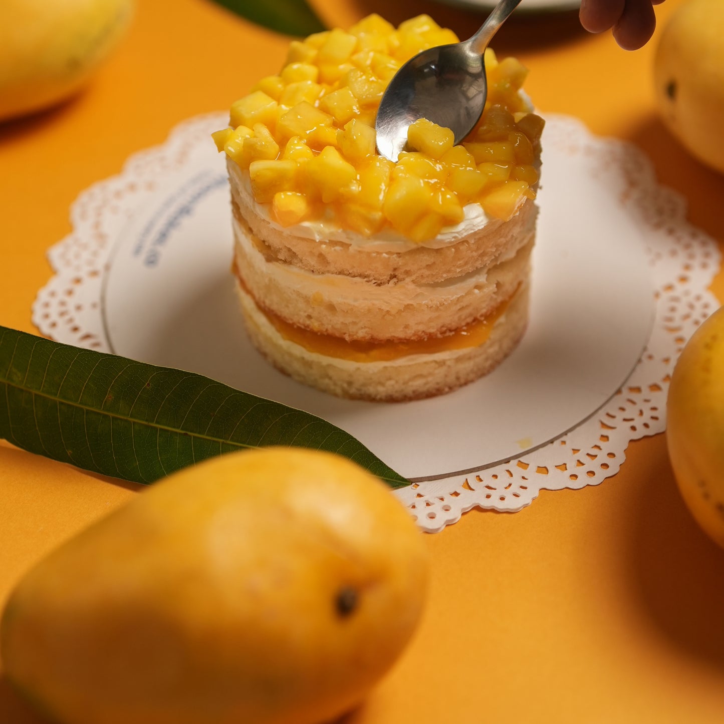 Tropical Mango Pineapple Fusion Bento Cake