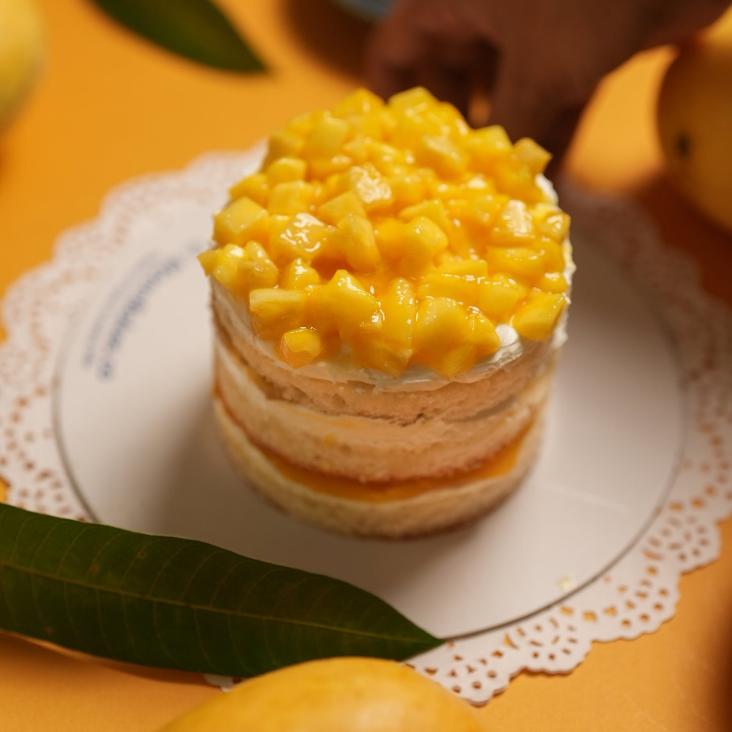 Tropical Mango Pineapple Fusion Bento Cake