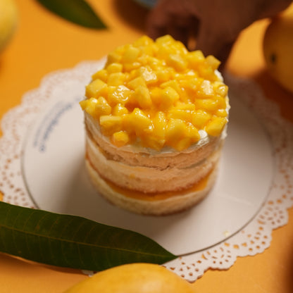 Tropical Mango Pineapple Fusion Bento Cake